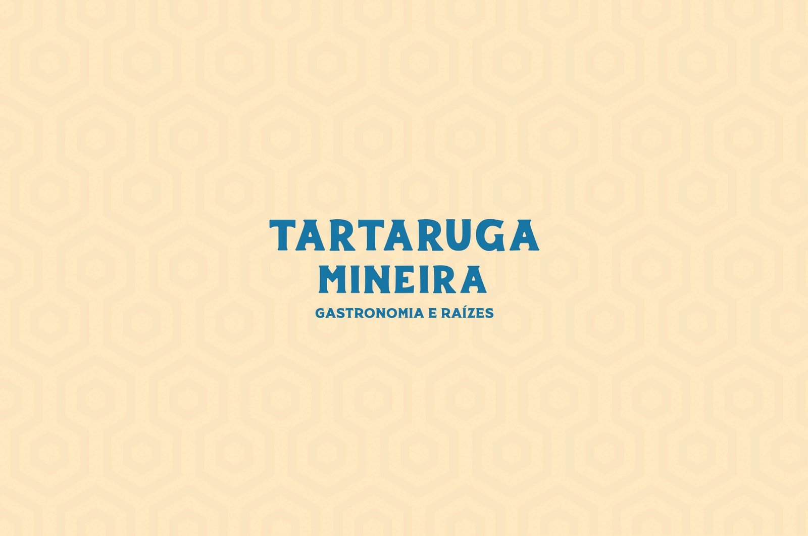2 - Manual_ID_Tartaruga_Mineira (1)_page-0013